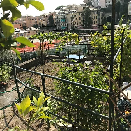 Apartment Marconi 25 Bogliasco